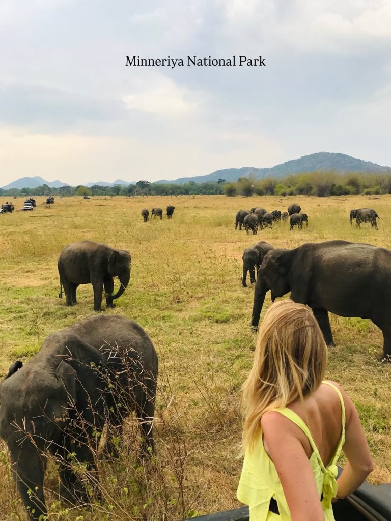 sri lanka safaris